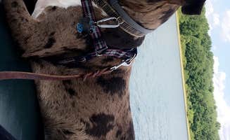 Sarah L.'s photo of camping with pets at Codorus State Park Campground near Baltimore, MD