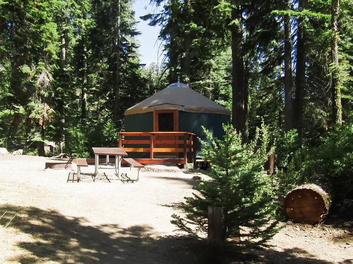 Camper submitted image from Sequoia National Forest Quaking Aspen Campground - 5