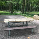 Review photo of Elkmont Campground — Great Smoky Mountains National Park by Kelly N., July 6, 2017