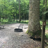 Review photo of Elkmont Campground — Great Smoky Mountains National Park by Kelly N., July 6, 2017