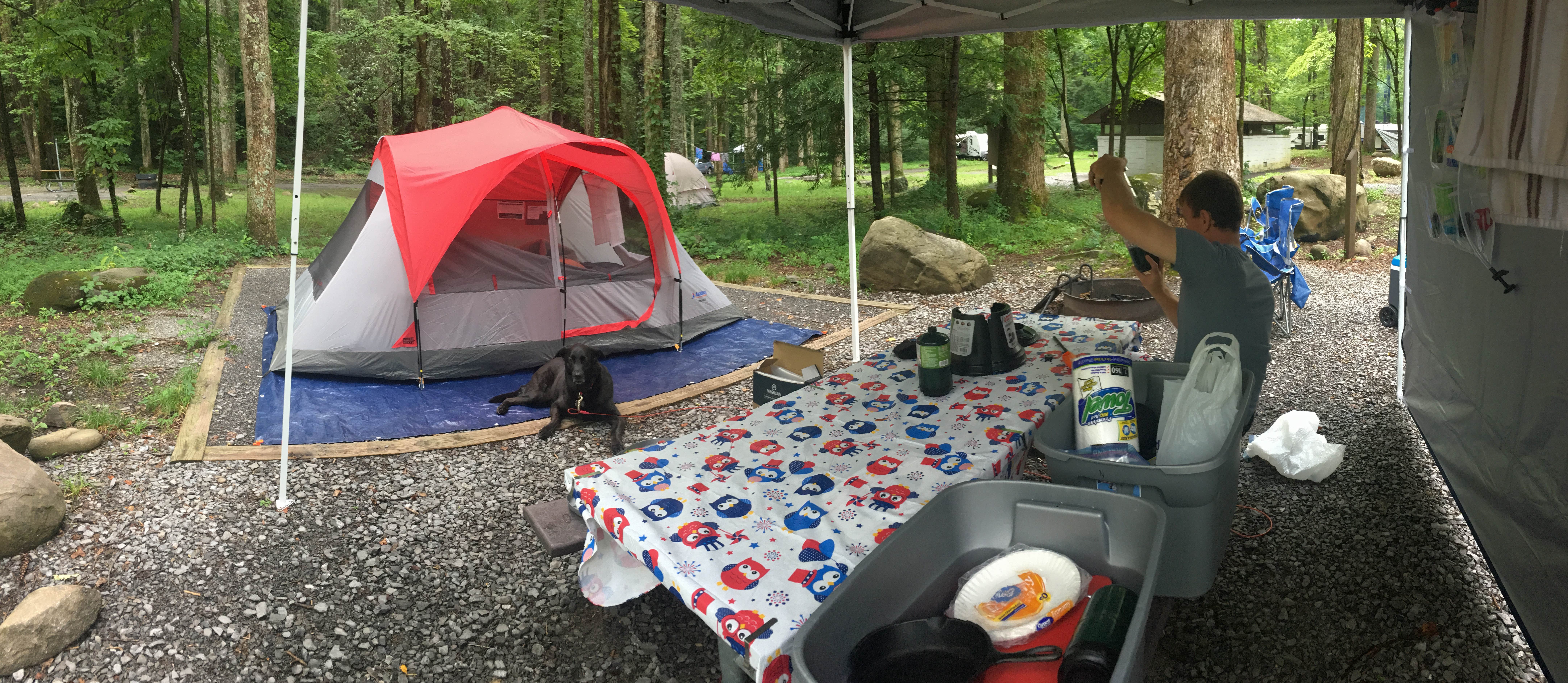 Kelly N.'s photo at Elkmont Campground — Great Smoky Mountains National Park near Gatlinburg, TN