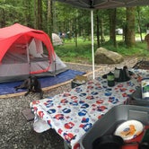 Review photo of Elkmont Campground — Great Smoky Mountains National Park by Kelly N., July 6, 2017