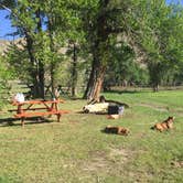 Review photo of Spring Gulch by Katherine B., July 6, 2017