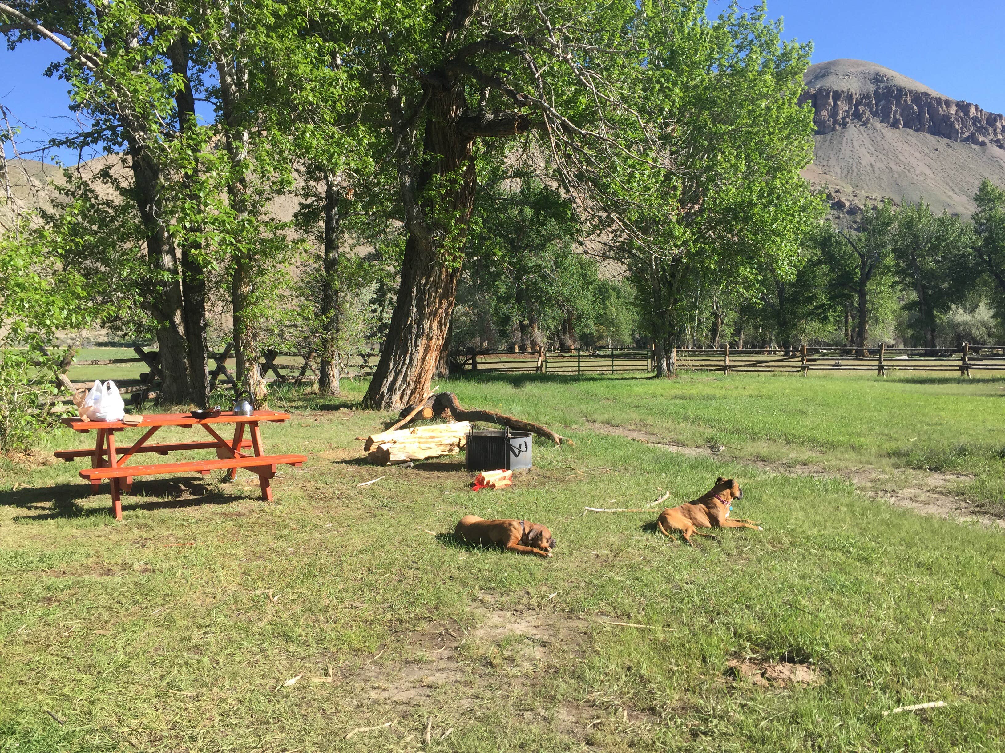 Camper submitted image from Spring Gulch - 4