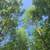 Review photo of Pike Lake Campground — Kettle Moraine State Forest-Pike Lake Unit by Eric S., July 6, 2017