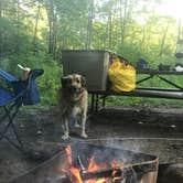 Review photo of Pike Lake Campground — Kettle Moraine State Forest-Pike Lake Unit by Eric S., July 6, 2017