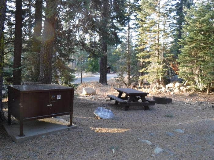 Camper submitted image from Tahoe National Forest Salmon Creek Campground - 3