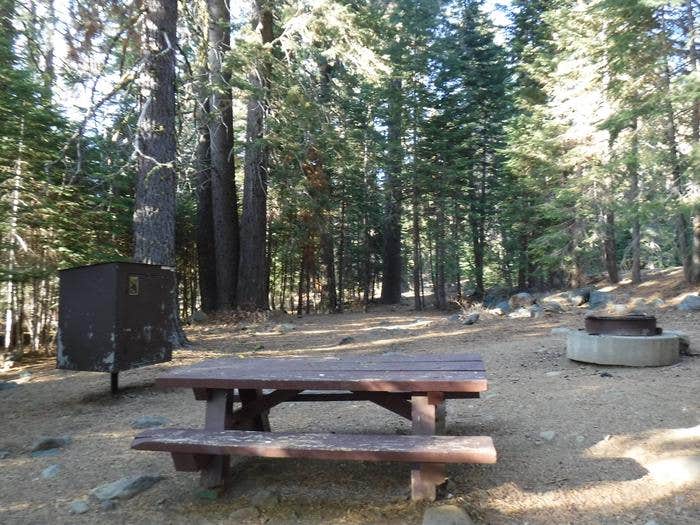 Camper submitted image from Tahoe National Forest Salmon Creek Campground - 5
