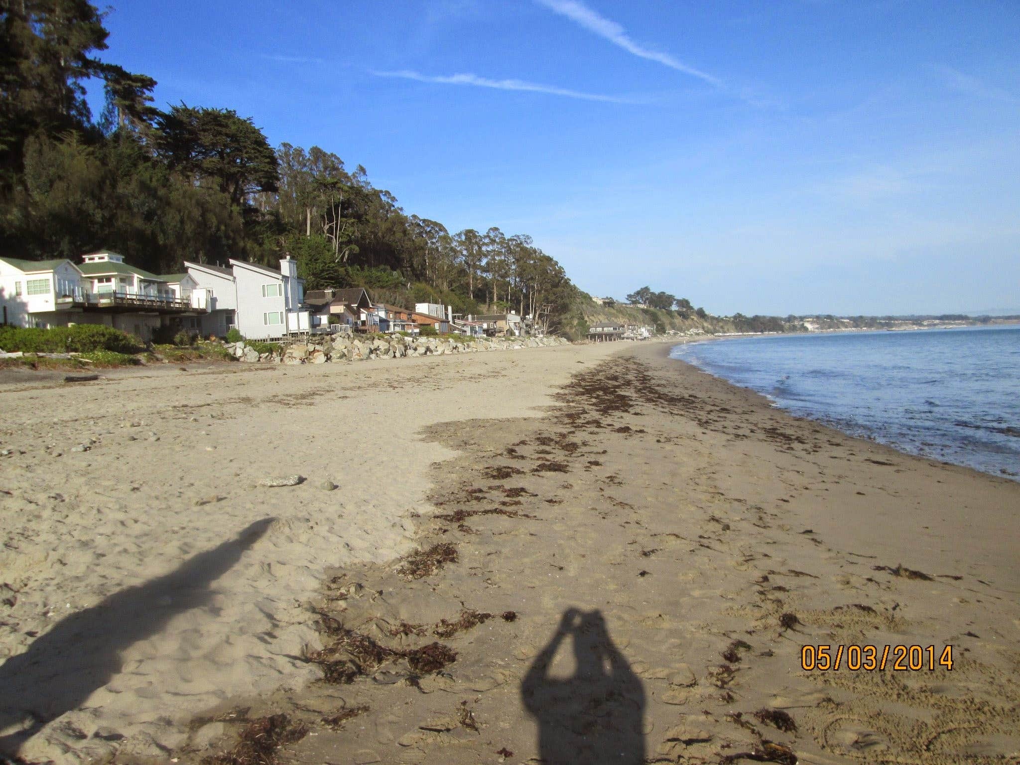 Camper submitted image from New Brighton State Beach Campground - 4