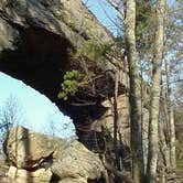 Review photo of Middle Fork Campground — Natural Bridge State Resort Park by Chris B., June 24, 2016