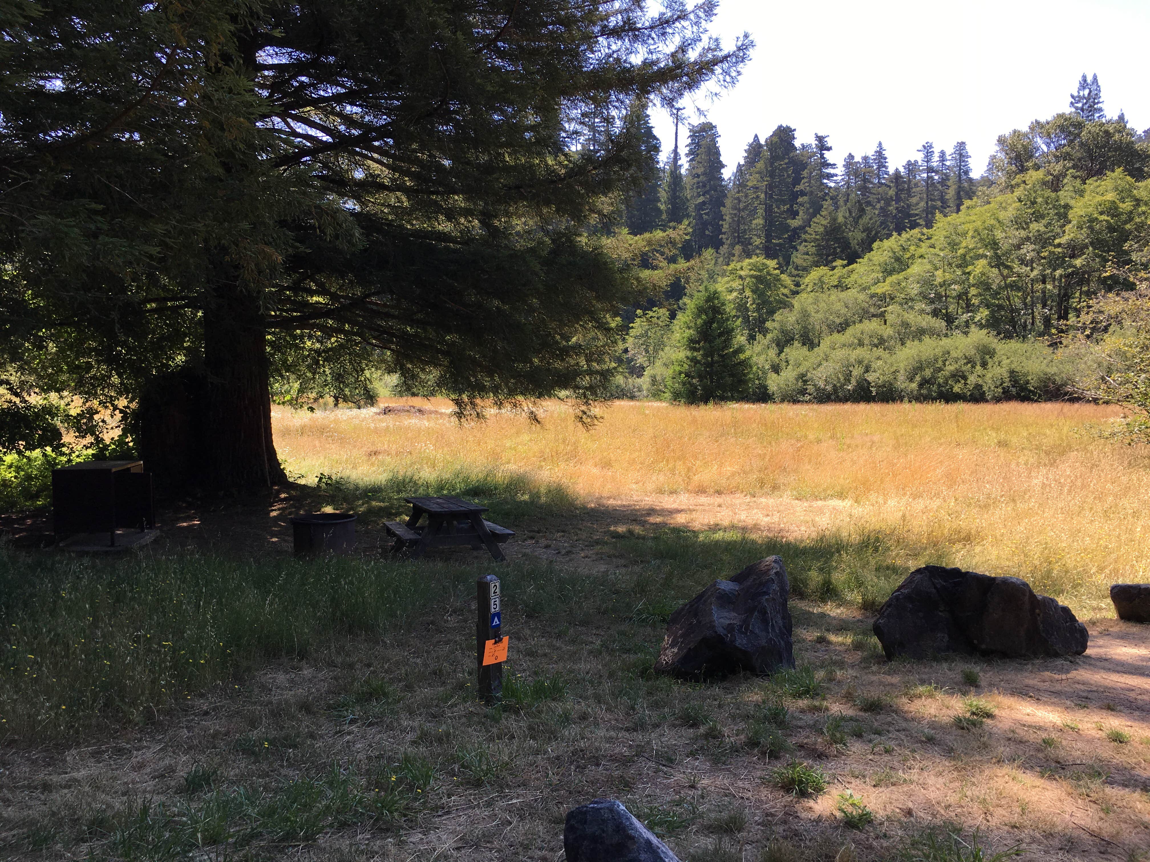Camper submitted image from Hidden Springs Campground — Humboldt Redwoods State Park - 4