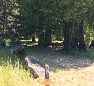 Camper-submitted photo from Albee Creek Camp — Humboldt Redwoods State Park