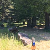 Review photo of Hidden Springs Campground — Humboldt Redwoods State Park by Brandi K., July 6, 2017