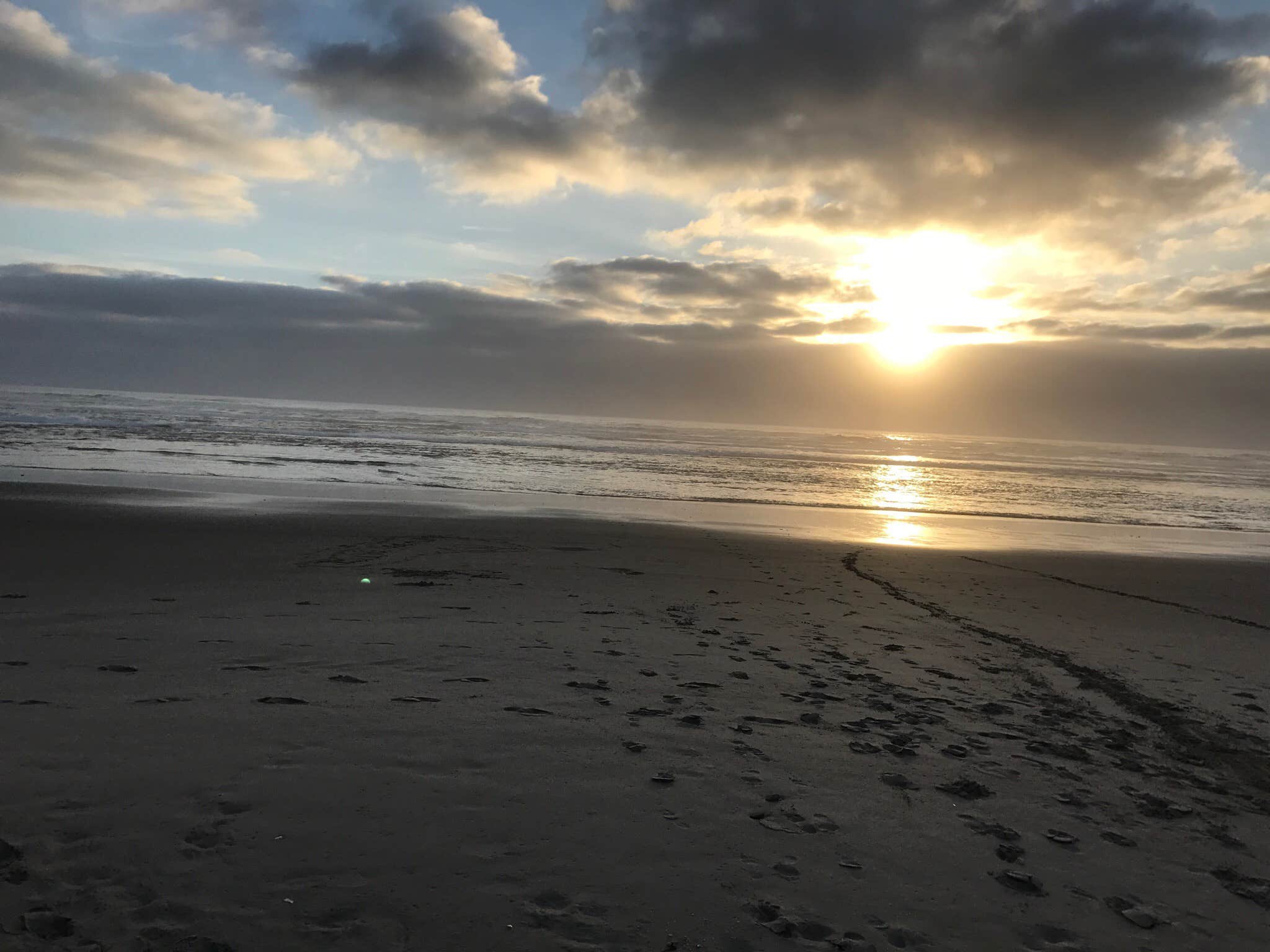 Camper submitted image from Beachside State Recreation Site - 3