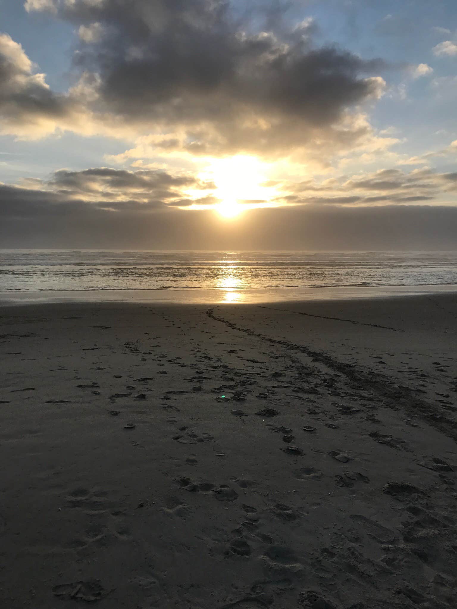 Camper submitted image from Beachside State Recreation Site - 2