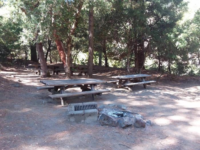Camper submitted image from Sarah Totten Campground - 5