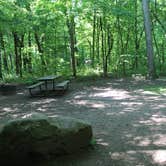 Review photo of Wild River State Park Campground by Jennifer H., July 6, 2017