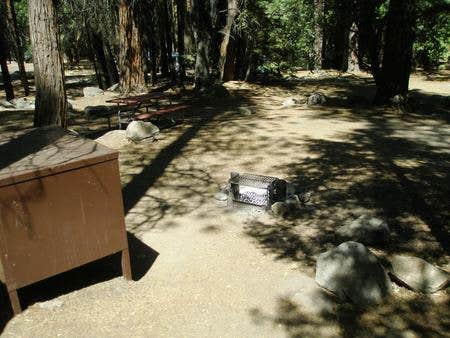 Camper submitted image from Sentinel Campground — Kings Canyon National Park - 5