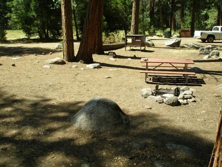 Camper submitted image from Sentinel Campground — Kings Canyon National Park - 5