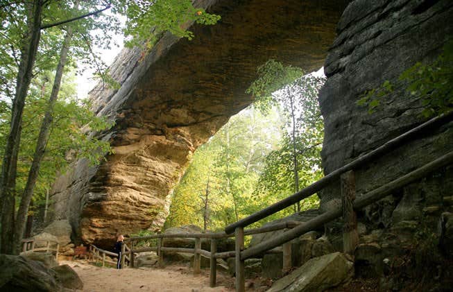Camper submitted image from Middle Fork Campground — Natural Bridge State Resort Park - 5
