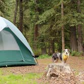 Review photo of Potosi Campground by Brad T., July 7, 2017