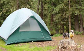 Brad T.'s photo of camping with pets at Potosi Campground near Ennis, MT