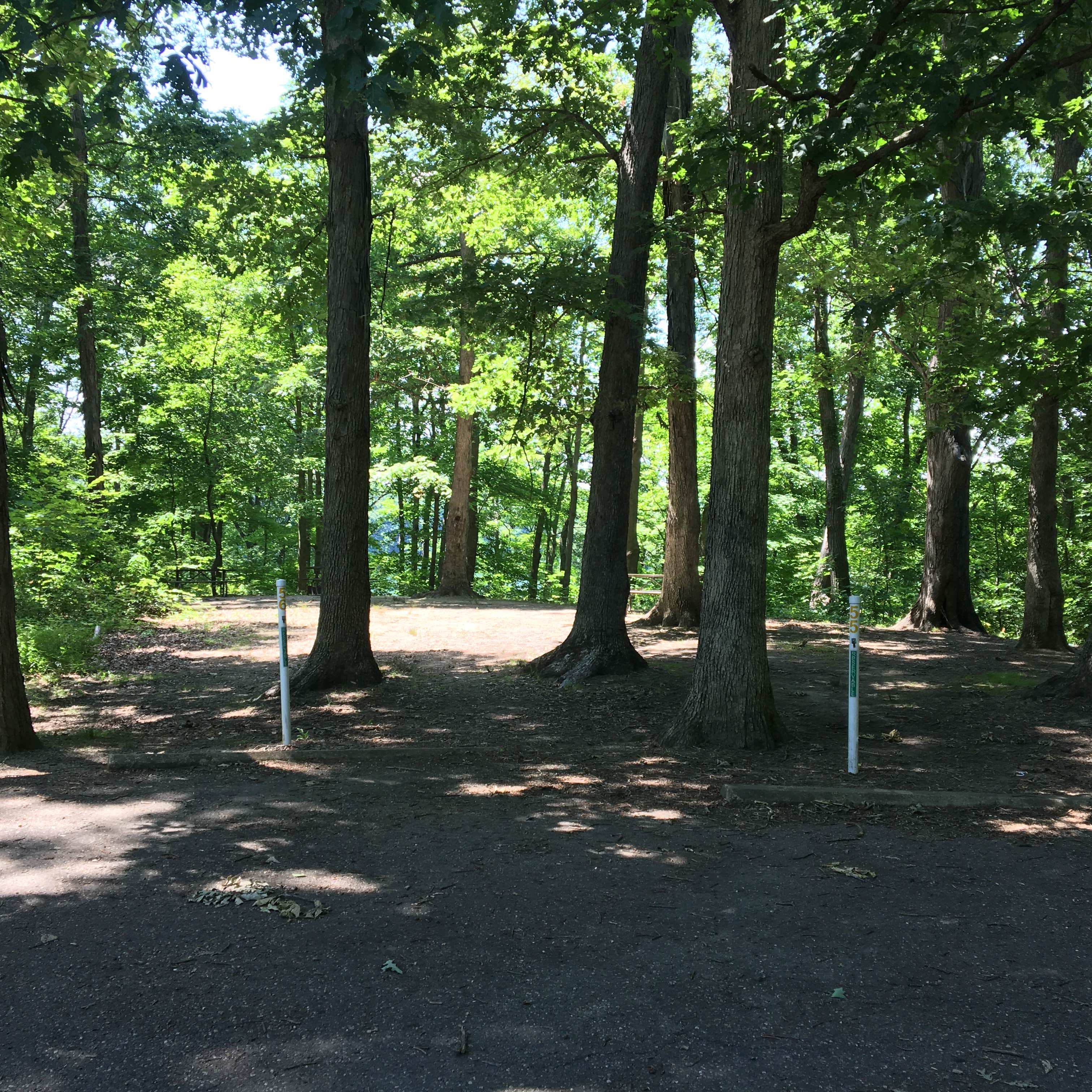 Wolf Run State Park Camping  The Dyrt