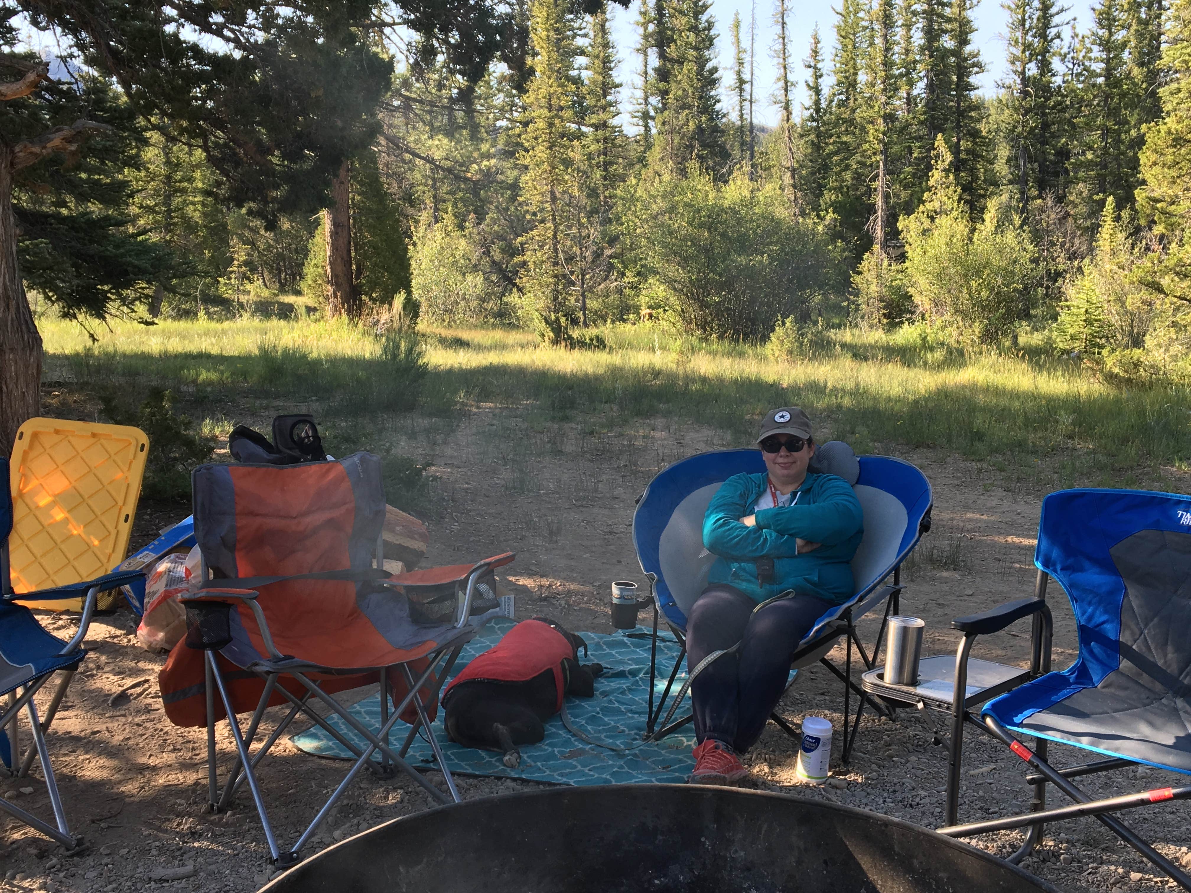 Camper submitted image from Pine Lake Campground - 3