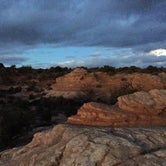 Review photo of Island In The Sky (Willow Flat) Campground — Canyonlands National Park by Kuo G., July 7, 2017