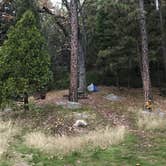 Review photo of Wawona Campground — Yosemite National Park by Rebekah S., July 7, 2017