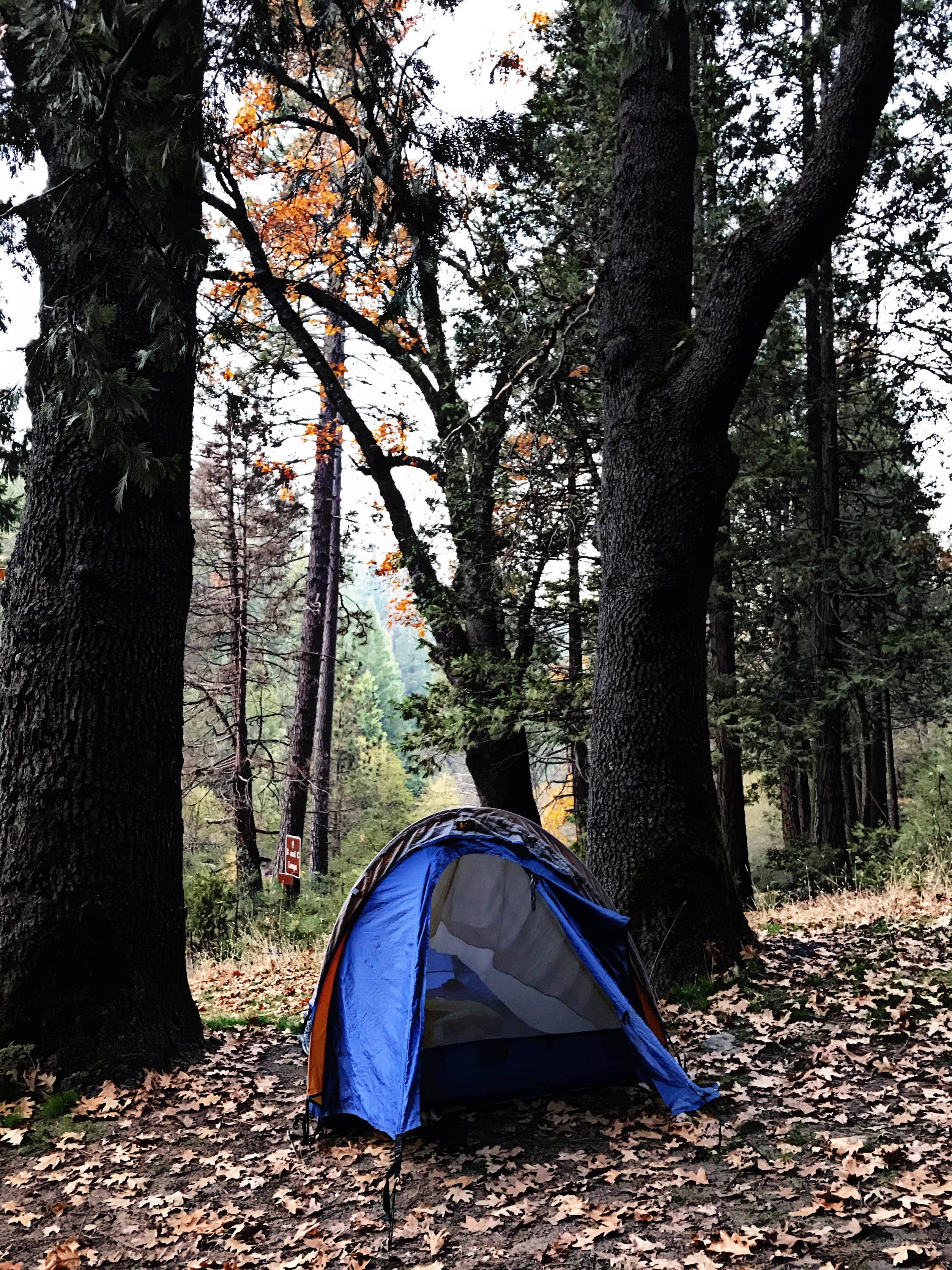 Rebekah S.'s photo at Wawona Campground — Yosemite National Park near El Portal, CA