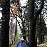 Review photo of Wawona Campground — Yosemite National Park by Rebekah S., July 7, 2017