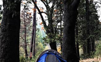 Rebekah S.'s photo at Wawona Campground — Yosemite National Park near Fish Camp, CA
