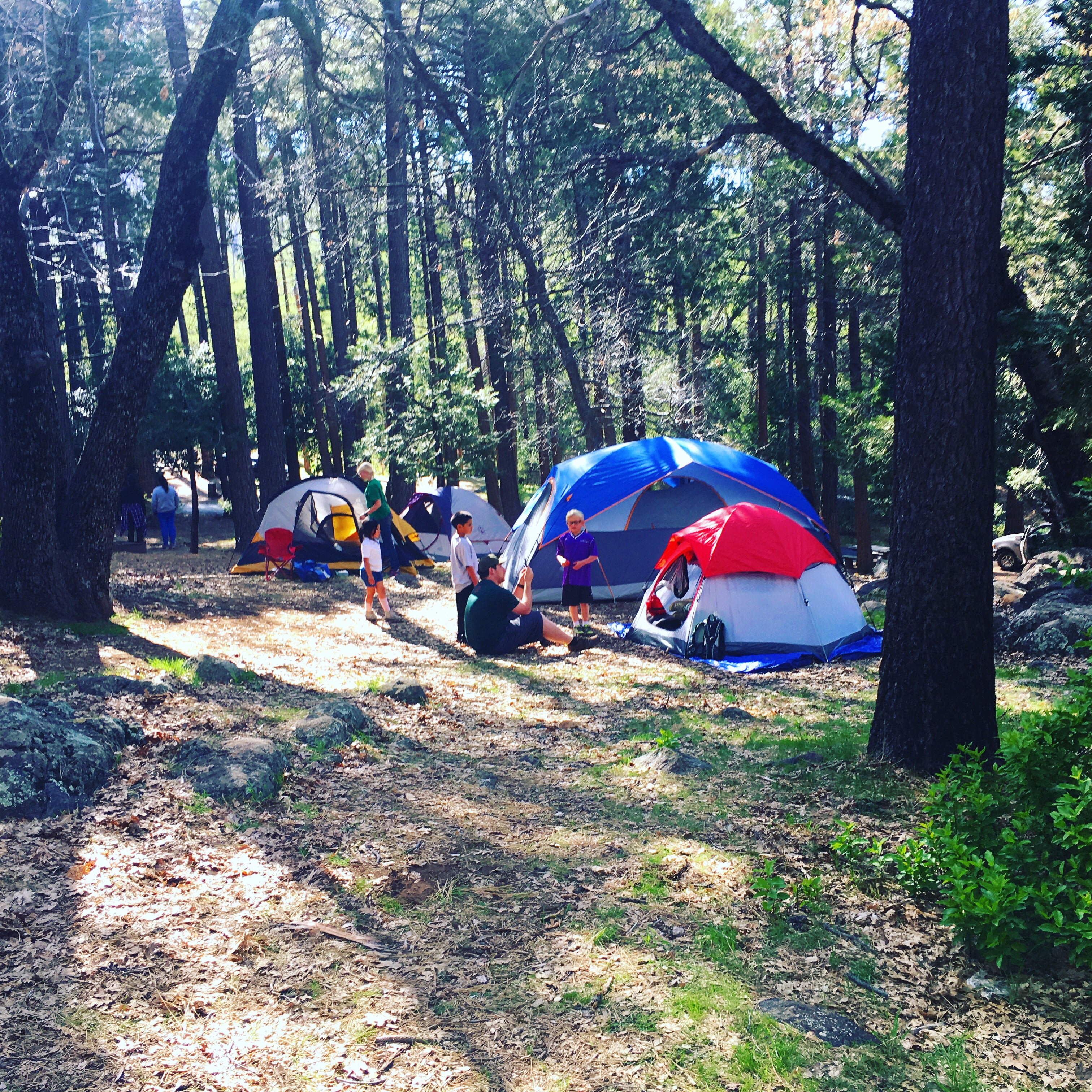 Camper submitted image from Paso Picacho Campground — Cuyamaca Rancho State Park - 4