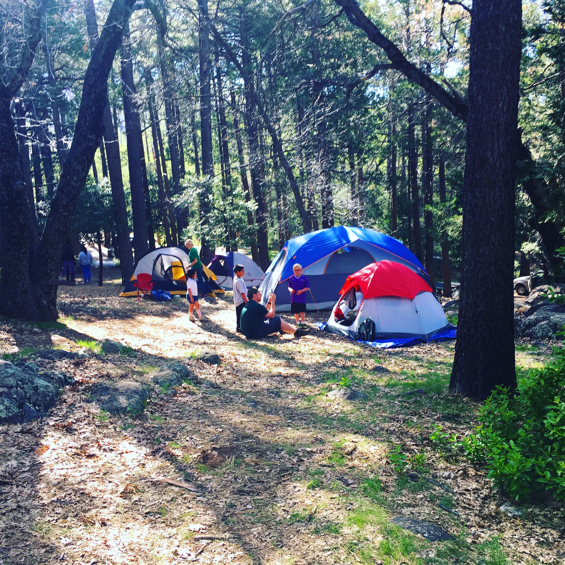 Paso Picacho Campground Camping The Dyrt