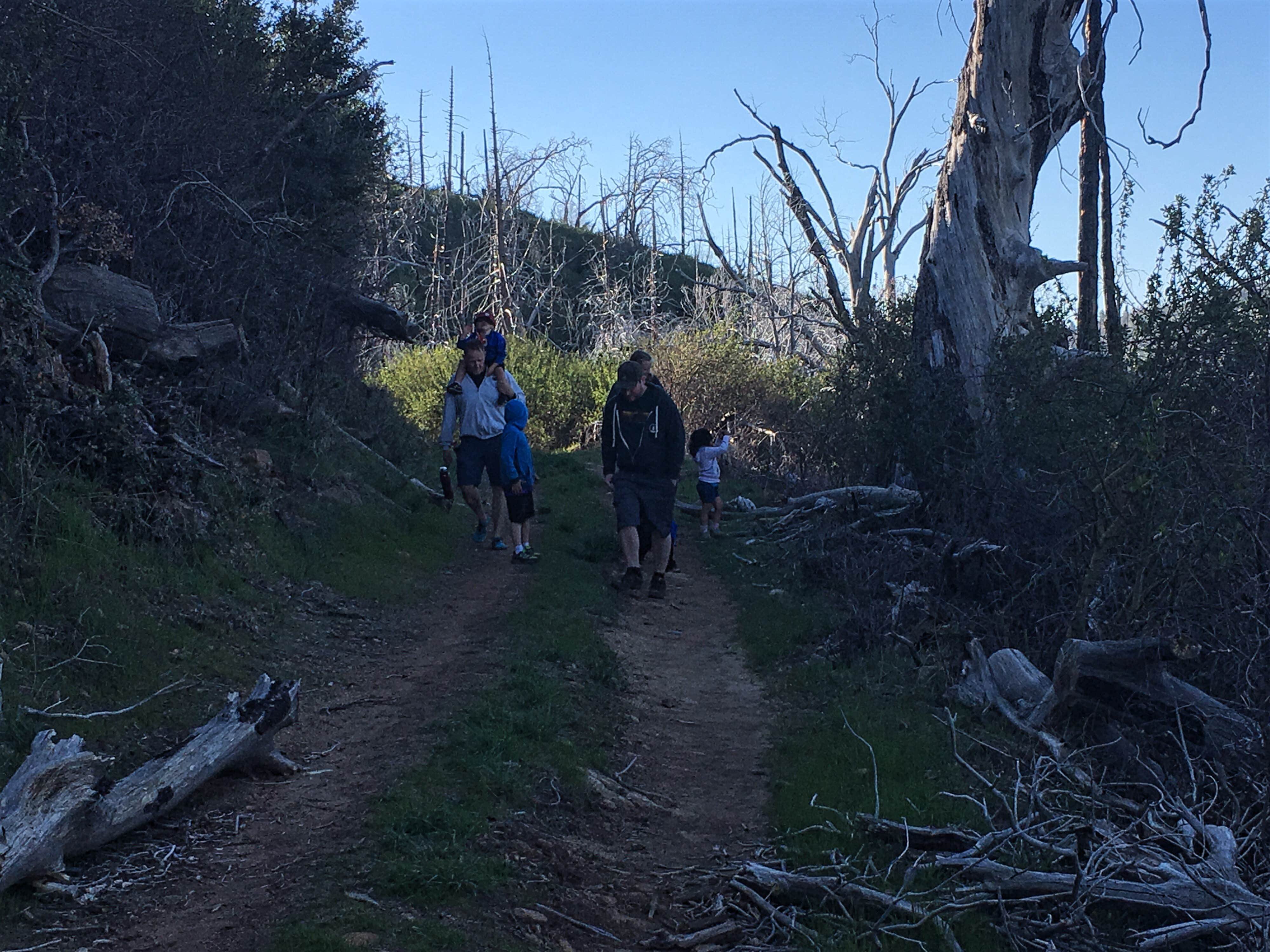 Camper submitted image from Paso Picacho Campground — Cuyamaca Rancho State Park - 2