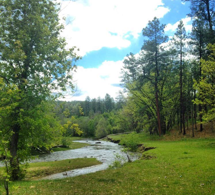 Camper submitted image from Lower Log Road Apache Indian Res - 1