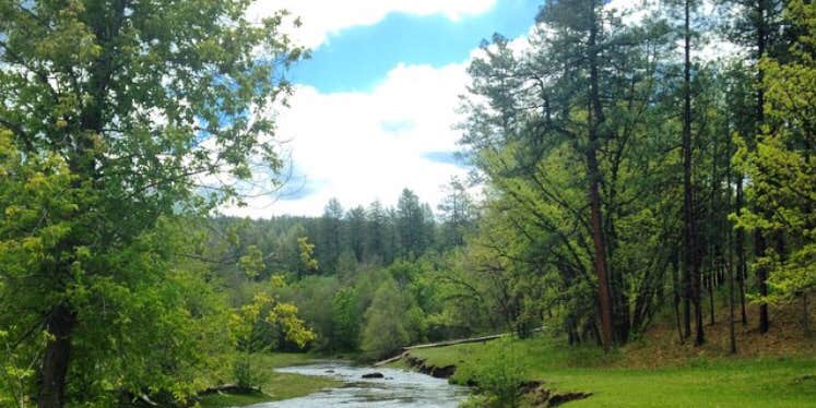 Camper submitted image from Lower Log Road Apache Indian Res