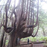 Review photo of Usal Beach Campsites — Sinkyone Wilderness State Park by Robyn D., July 7, 2017