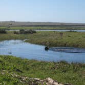 Review photo of Usal Beach Campsites — Sinkyone Wilderness State Park by Robyn D., July 7, 2017