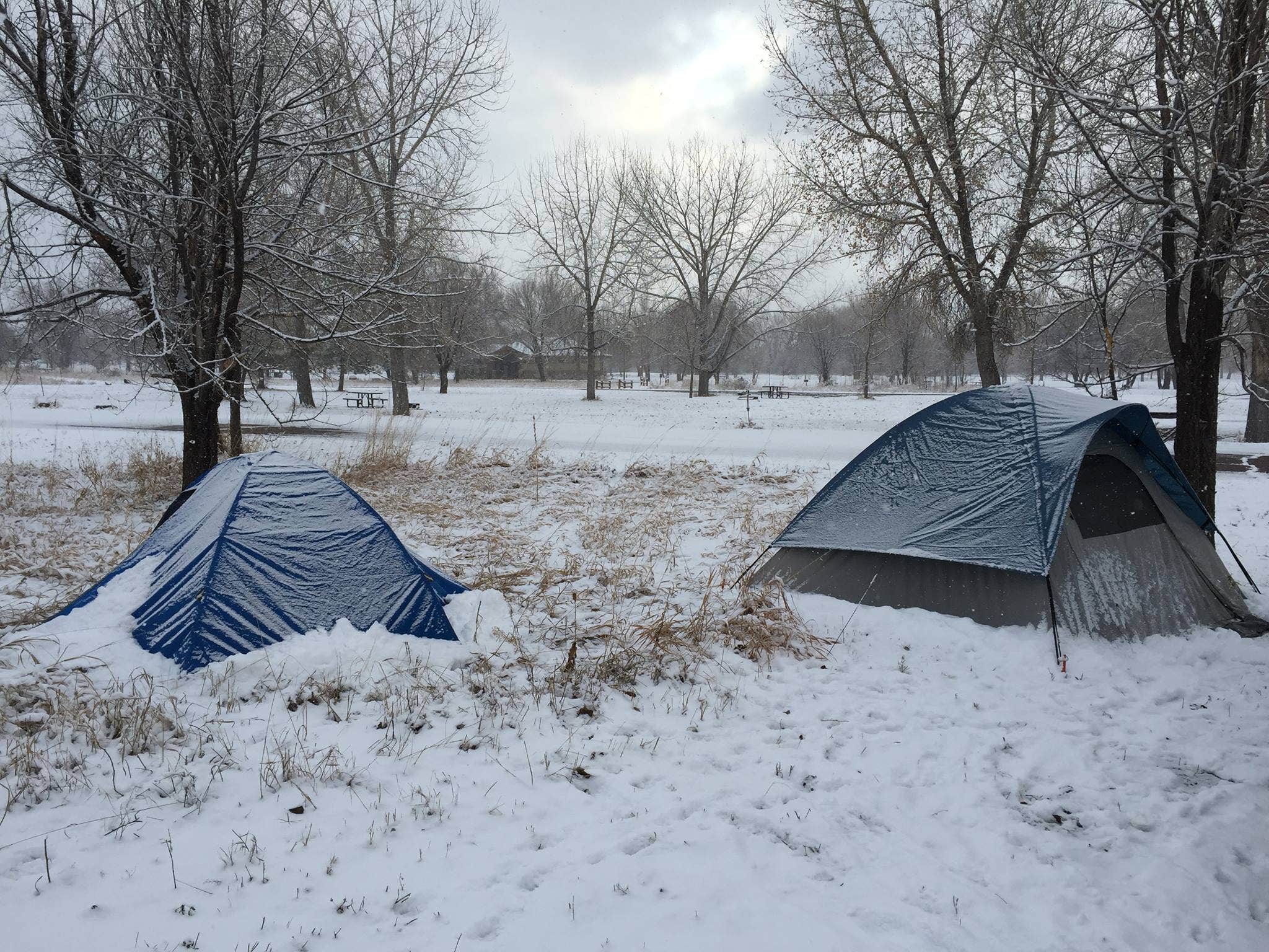 Camper submitted image from Cherry Creek State Park Campground - 4