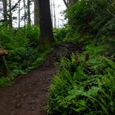Review photo of Cape Lookout State Park Campground by Aria R., July 7, 2017