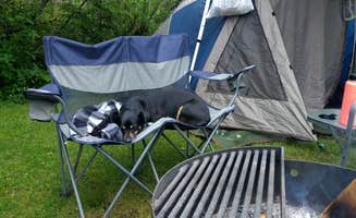 Aria R.'s photo at Cape Lookout State Park Campground near Pacific City, OR