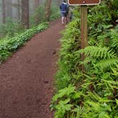 Review photo of Cape Lookout State Park Campground by Aria R., July 7, 2017