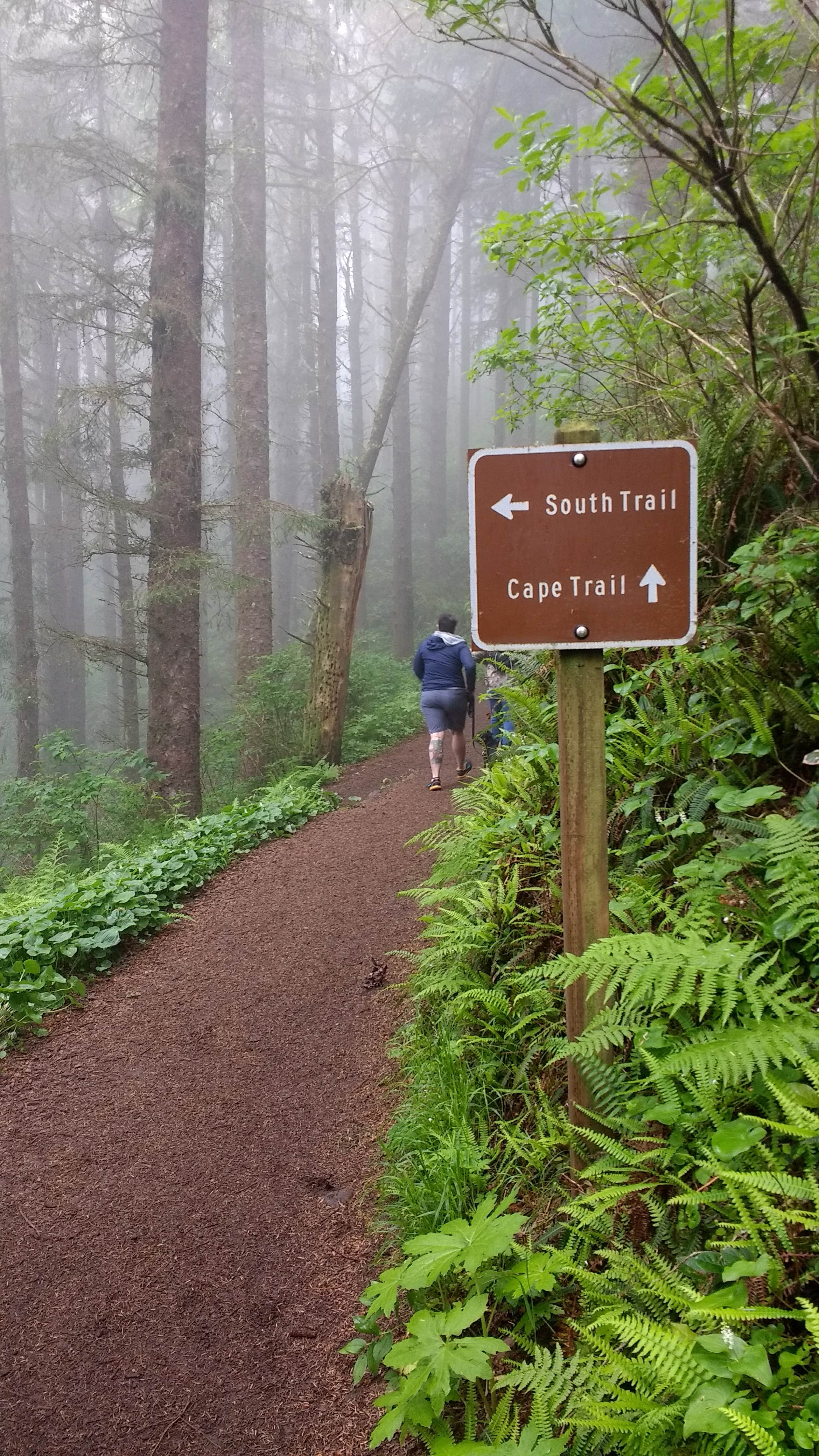 Camper submitted image from Cape Lookout State Park Campground - 2