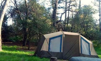 Lea O.'s photo at Green Valley Campground — Cuyamaca Rancho State Park near Alpine, CA