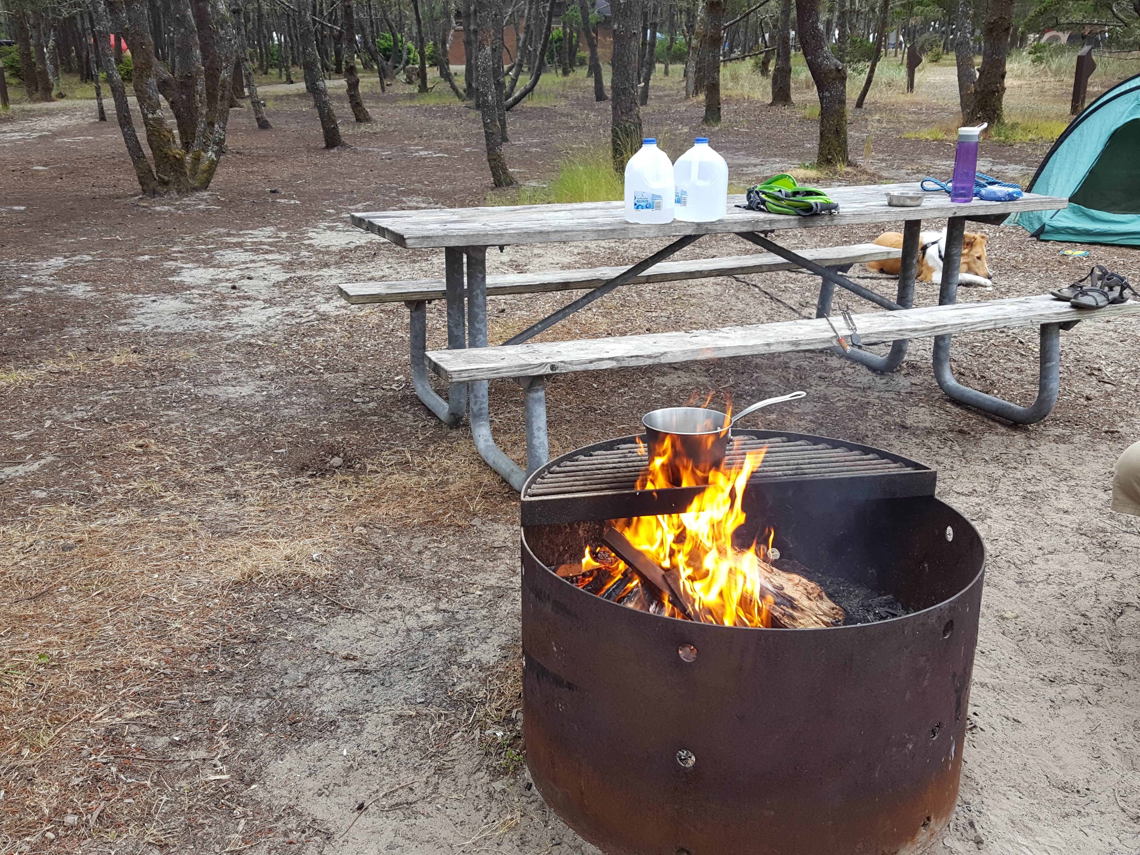 Melissa N.'s photo at South Beach State Park Campground near Gleneden Beach, OR