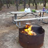 Review photo of South Beach State Park Campground by Melissa N., July 7, 2017
