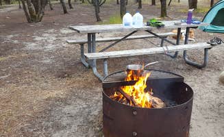 Melissa N.'s photo at South Beach State Park Campground near Waldport, OR
