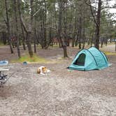 Review photo of South Beach State Park Campground by Melissa N., July 7, 2017